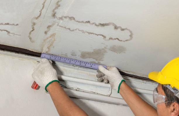 Reliable Burst Pipe Cleanup contractor in Napoleon, OH by Local Water Damage Repair